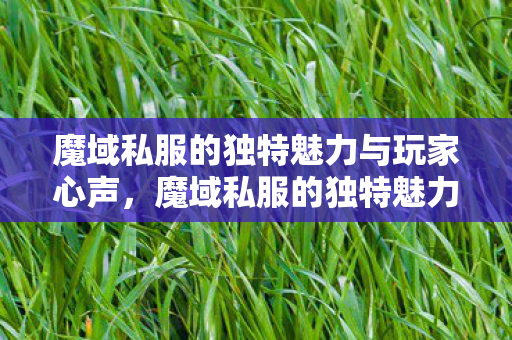 魔域私服的独特魅力与玩家心声,魔域私服的独特魅力,玩家心声揭秘 魔域私服的独特魅力与玩家心声,魔域私服的独特魅力,玩家心声揭秘