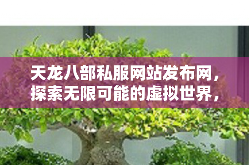 天龙八部私服网站发布网图片
