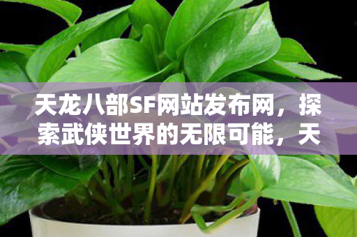 天龙八部SF网站发布网图片