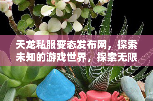 天龙私服变态发布网带你领略未知游戏世界图片