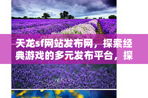 探索经典游戏的多元发布平台图片