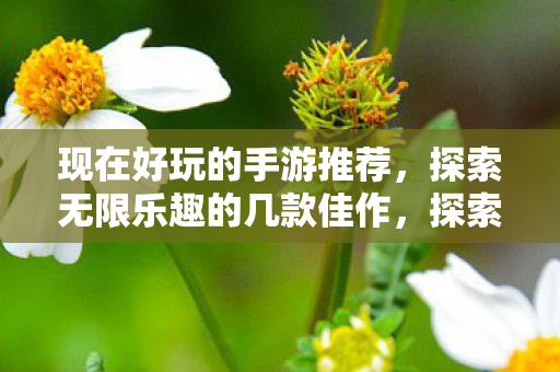 现在好玩的手游推荐,探索无限乐趣的几款佳作,探索无限乐趣,精选手游佳作推荐 现在好玩的手游推荐,探索无限乐趣的几款佳作,探索无限乐趣,精选手游佳作推荐