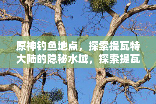 原神钓鱼地点,探索提瓦特大陆的隐秘水域,探索提瓦特大陆的隐秘水域,原神钓鱼地点全解析 原神钓鱼地点,探索提瓦特大陆的隐秘水域,探索提瓦特大陆的隐秘水域,原神钓鱼地点全解析