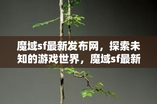 探索未知游戏世界的奇妙之旅图片