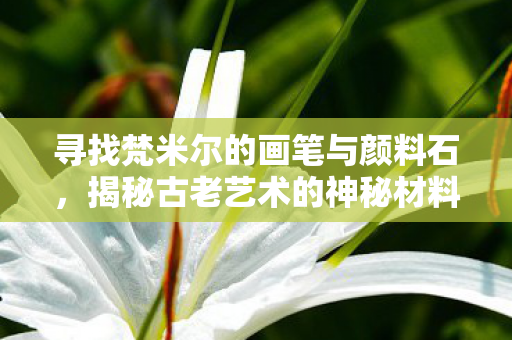 寻找梵米尔的画笔与颜料石,揭秘古老艺术的神秘材料,揭秘梵米尔画笔与颜料石,古老艺术的神秘材料 寻找梵米尔的画笔与颜料石,揭秘古老艺术的神秘材料,揭秘梵米尔画笔与颜料石,古老艺术的神秘材料