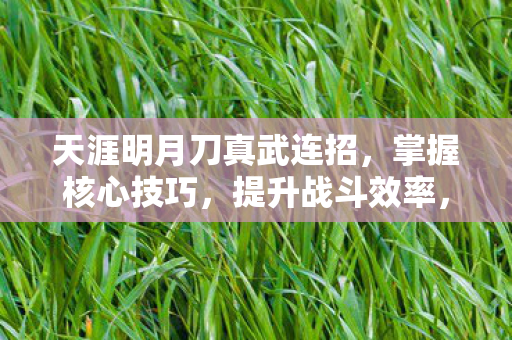 天涯明月刀真武连招,掌握核心技巧,提升战斗效率,掌握核心技巧,真武连招提升天涯明月刀战斗效率 天涯明月刀真武连招,掌握核心技巧,提升战斗效率,掌握核心技巧,真武连招提升天涯明月刀战斗效率