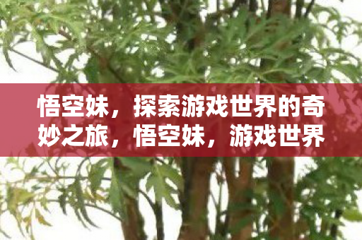 悟空妹,探索游戏世界的奇妙之旅,悟空妹,游戏世界的奇妙探险之旅 悟空妹,探索游戏世界的奇妙之旅,悟空妹,游戏世界的奇妙探险之旅