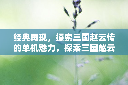 经典再现,探索三国赵云传的单机魅力,探索三国赵云传的单机魅力 经典再现,探索三国赵云传的单机魅力,探索三国赵云传的单机魅力