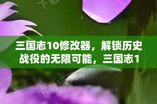 三国志10修改器,解锁历史战役的无限可能,三国志10修改器,解锁历史战役的无限可能 三国志10修改器,解锁历史战役的无限可能,三国志10修改器,解锁历史战役的无限可能