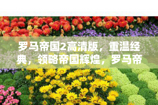 罗马帝国2高清版,重温经典,领略帝国辉煌,罗马帝国2高清版,重温经典,领略帝国辉煌 罗马帝国2高清版,重温经典,领略帝国辉煌,罗马帝国2高清版,重温经典,领略帝国辉煌