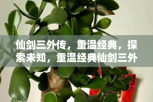 仙剑三外传，重温经典，探索未知，重温经典仙剑三外传，探索未知之旅
