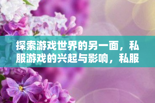 探索游戏世界的另一面图片