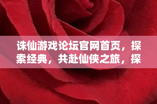 诛仙游戏论坛官网首页图片