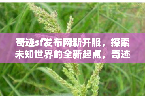 探索未知世界的全新起点图片