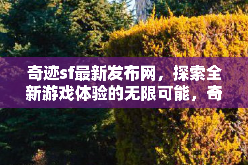 奇迹sf最新发布网,探索全新游戏体验的无限可能,奇迹sf最新发布网,探索全新游戏体验的无限可能 奇迹sf最新发布网,探索全新游戏体验的无限可能,奇迹sf最新发布网,探索全新游戏体验的无限可能