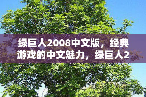 绿巨人2008中文版,经典游戏的中文魅力,绿巨人2008中文版,经典游戏的中文魅力展现 绿巨人2008中文版,经典游戏的中文魅力,绿巨人2008中文版,经典游戏的中文魅力展现