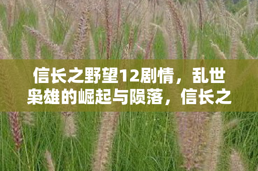 信长之野望12剧情,乱世枭雄的崛起与陨落,信长之野望12剧情,乱世枭雄的崛起与陨落 信长之野望12剧情,乱世枭雄的崛起与陨落,信长之野望12剧情,乱世枭雄的崛起与陨落
