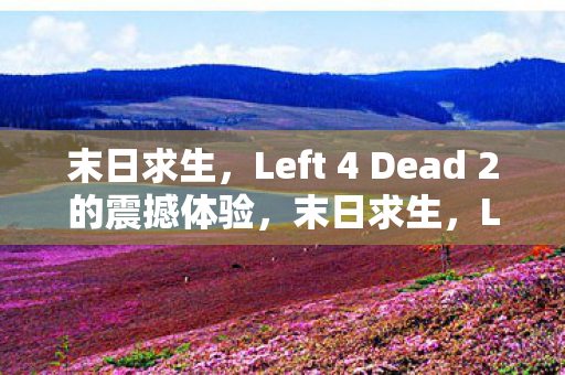 Left 4 Dead 2的震撼游戏体验图片