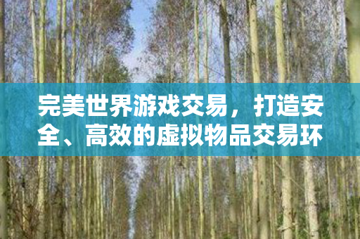 完美世界游戏交易，打造安全、高效的虚拟物品交易环境，打造安全高效的虚拟物品交易环境，完美世界游戏交易