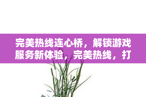 完美热线连心桥,解锁游戏服务新体验,完美热线,打造游戏服务新体验,连心桥服务升级 完美热线连心桥,解锁游戏服务新体验,完美热线,打造游戏服务新体验,连心桥服务升级