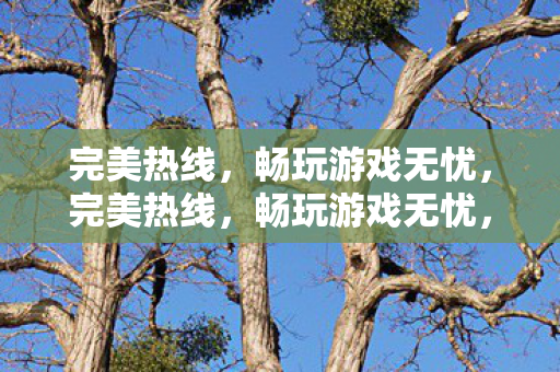 完美热线,畅玩游戏无忧,完美热线,畅玩游戏无忧,服务升级,体验更顺畅 完美热线,畅玩游戏无忧,完美热线,畅玩游戏无忧,服务升级,体验更顺畅