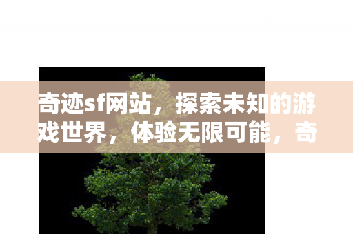 奇迹sf网站，探索未知的游戏世界，体验无限可能，奇迹sf，探索无限可能的游戏世界