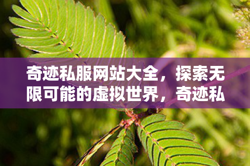 探索无限可能的虚拟世界图片
