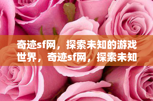 奇迹sf网，探索未知的游戏世界，奇迹sf网，探索未知的游戏世界之旅