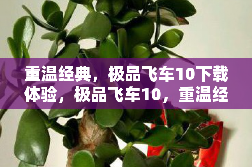 重温经典,极品飞车10下载体验,极品飞车10,重温经典,下载体验 重温经典,极品飞车10下载体验,极品飞车10,重温经典,下载体验