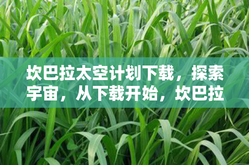 坎巴拉太空计划下载,探索宇宙,从下载开始,坎巴拉太空计划,开启你的宇宙探索之旅 坎巴拉太空计划下载,探索宇宙,从下载开始,坎巴拉太空计划,开启你的宇宙探索之旅