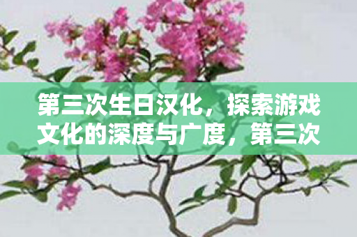 第三次生日汉化,探索游戏文化的深度与广度,第三次生日汉化版,探索游戏文化的深度与广度 第三次生日汉化,探索游戏文化的深度与广度,第三次生日汉化版,探索游戏文化的深度与广度