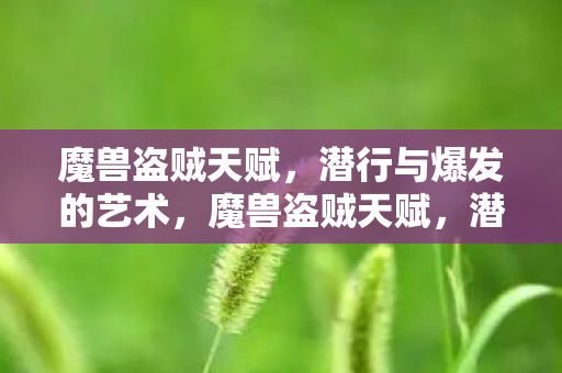 魔兽盗贼天赋,潜行与爆发的艺术,魔兽盗贼天赋,潜行与爆发的艺术 魔兽盗贼天赋,潜行与爆发的艺术,魔兽盗贼天赋,潜行与爆发的艺术