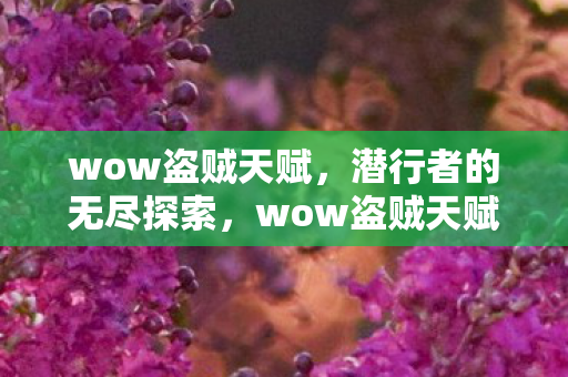 wow盗贼天赋,潜行者的无尽探索,wow盗贼天赋,潜行者的无尽探索之路 wow盗贼天赋,潜行者的无尽探索,wow盗贼天赋,潜行者的无尽探索之路