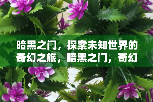 暗黑之门,探索未知世界的奇幻之旅,暗黑之门,奇幻之旅探索未知世界 暗黑之门,探索未知世界的奇幻之旅,暗黑之门,奇幻之旅探索未知世界