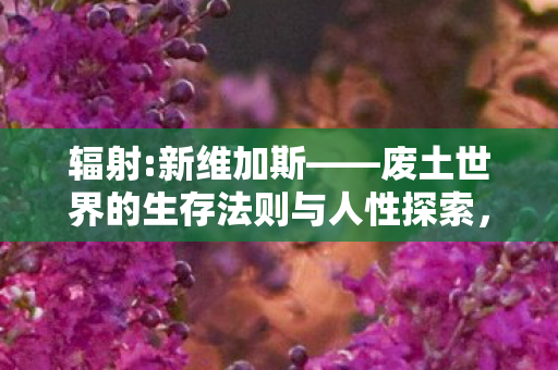 辐射:新维加斯——废土世界的生存法则与人性探索，辐射，新维加斯——废土世界的生存法则与人性的探索之旅