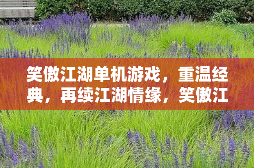 笑傲江湖单机游戏，重温经典，再续江湖情缘，笑傲江湖单机游戏，重温经典，再续江湖情缘
