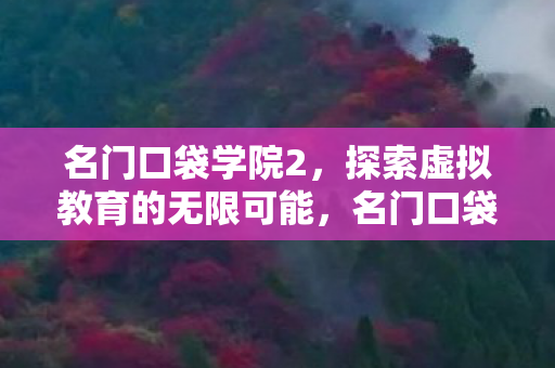 名门口袋学院2,探索虚拟教育的无限可能,名门口袋学院2,探索虚拟教育的无限可能 名门口袋学院2,探索虚拟教育的无限可能,名门口袋学院2,探索虚拟教育的无限可能