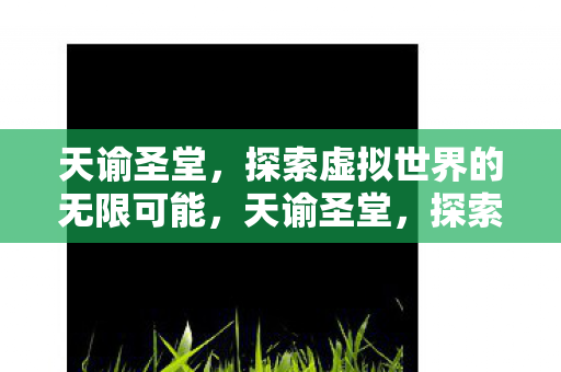 探索虚拟世界的无限可能图片