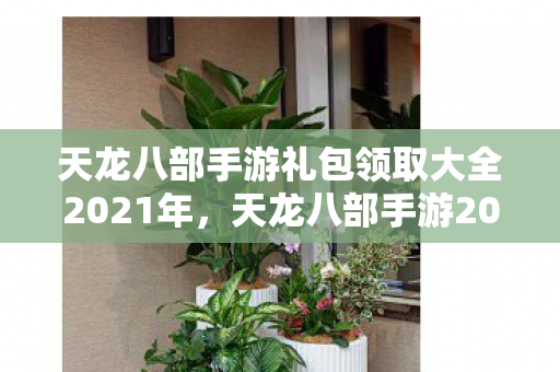 天龙八部手游礼包领取大全2021年图片
