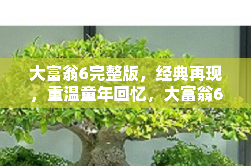大富翁6完整版图片