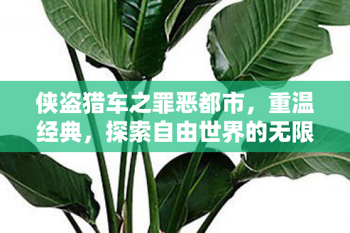 侠盗猎车之罪恶都市,重温经典,探索自由世界的无限可能,侠盗猎车之罪恶都市,重温经典,探索自由世界的无限可能 侠盗猎车之罪恶都市,重温经典,探索自由世界的无限可能,侠盗猎车之罪恶都市,重温经典,探索自由世界的无限可能