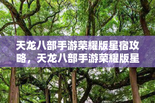 天龙八部手游荣耀版星宿攻略,天龙八部手游荣耀版星宿派攻略,掌握技能与战斗技巧 天龙八部手游荣耀版星宿攻略,天龙八部手游荣耀版星宿派攻略,掌握技能与战斗技巧