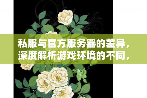 私服与官方服务器的差异图片