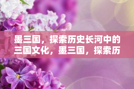 探索历史长河中的三国文化图片