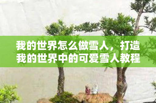 打造我的世界中的可爱雪人教程图片