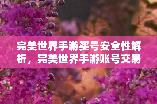 完美世界手游买号安全性解析,完美世界手游账号交易安全性全解析 完美世界手游买号安全性解析,完美世界手游账号交易安全性全解析