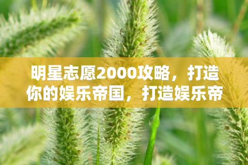 明星志愿2000攻略，打造你的娱乐帝国，打造娱乐帝国，明星志愿2000攻略全解析