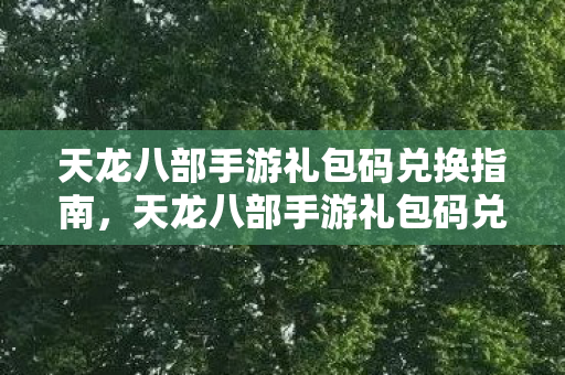 天龙八部手游礼包码兑换指南，天龙八部手游礼包码兑换攻略