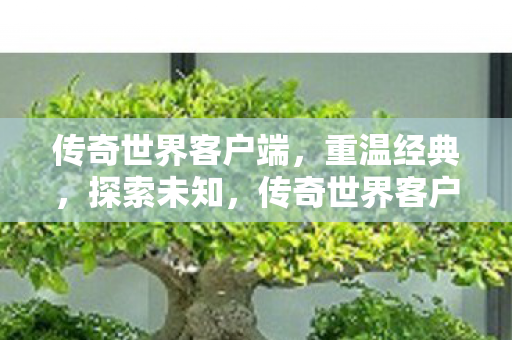 传奇世界客户端,重温经典,探索未知,传奇世界客户端,重温经典,探索未知 传奇世界客户端,重温经典,探索未知,传奇世界客户端,重温经典,探索未知
