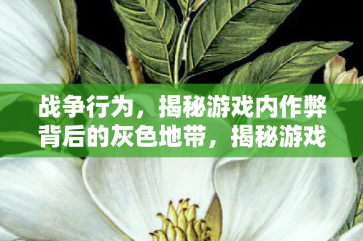 战争行为,揭秘游戏内作弊背后的灰色地带,揭秘游戏内作弊背后的灰色地带,战争行为的背后 战争行为,揭秘游戏内作弊背后的灰色地带,揭秘游戏内作弊背后的灰色地带,战争行为的背后
